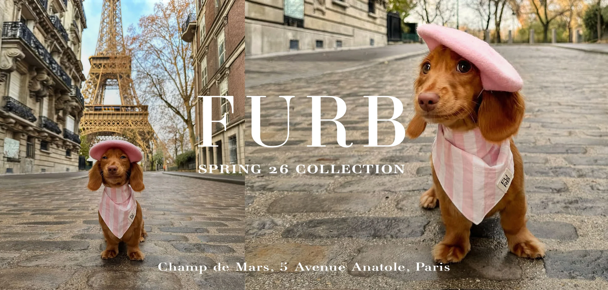 Chic Style for Modern Pets